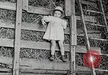 Standbild Farm Life Michigan United States USA, 1941, aus Sekunde 26 historischem Filmmaterial Videoclip 65675025821