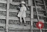 Standbild Farm Life Michigan United States USA, 1941, aus Sekunde 30 historischem Filmmaterial Videoclip 65675025821