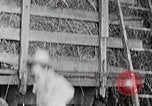 Standbild Farm Life Michigan United States USA, 1941, aus Sekunde 31 historischem Filmmaterial Videoclip 65675025821