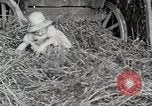 Standbild Farm Life Michigan United States USA, 1941, aus Sekunde 32 historischem Filmmaterial Videoclip 65675025821