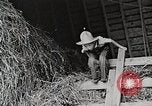 Standbild Farm Life Michigan United States USA, 1941, aus Sekunde 39 historischem Filmmaterial Videoclip 65675025821