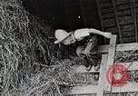 Standbild Farm Life Michigan United States USA, 1941, aus Sekunde 40 historischem Filmmaterial Videoclip 65675025821