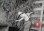 Standbild Farm Life Michigan United States USA, 1941, aus Sekunde 41 historischem Filmmaterial Videoclip 65675025821