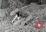 Standbild Farm Life Michigan United States USA, 1941, aus Sekunde 44 historischem Filmmaterial Videoclip 65675025821