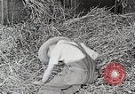 Standbild Farm Life Michigan United States USA, 1941, aus Sekunde 45 historischem Filmmaterial Videoclip 65675025821
