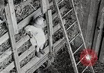 Standbild Farm Life Michigan United States USA, 1941, aus Sekunde 47 historischem Filmmaterial Videoclip 65675025821