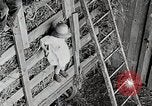 Standbild Farm Life Michigan United States USA, 1941, aus Sekunde 48 historischem Filmmaterial Videoclip 65675025821