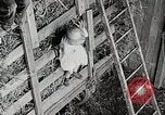 Standbild Farm Life Michigan United States USA, 1941, aus Sekunde 49 historischem Filmmaterial Videoclip 65675025821