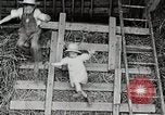 Standbild Farm Life Michigan United States USA, 1941, aus Sekunde 55 historischem Filmmaterial Videoclip 65675025821