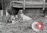 Standbild Farm Life Michigan United States USA, 1941, aus Sekunde 57 historischem Filmmaterial Videoclip 65675025821