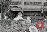 Standbild Farm Life Michigan United States USA, 1941, aus Sekunde 61 historischem Filmmaterial Videoclip 65675025821