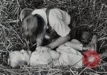 Standbild Farm Life Michigan United States USA, 1941, aus Sekunde 62 historischem Filmmaterial Videoclip 65675025821