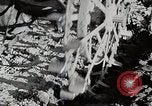 Image of Oliver tractor plows field Michigan United States USA, 1941, second 56 stock footage video 65675025822