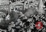Image of Oliver tractor plows field Michigan United States USA, 1941, second 62 stock footage video 65675025822