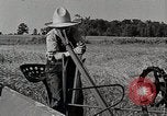 Image farm life Michigan United States USA, 1941, de la seconde 32 séquences d'archives historiques vidéo 65675025823
