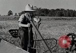 Image farm life Michigan United States USA, 1941, de la seconde 34 séquences d'archives historiques vidéo 65675025823