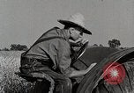 Image farm life Michigan United States USA, 1941, de la seconde 41 séquences d'archives historiques vidéo 65675025823