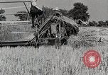 Image farm life Michigan United States USA, 1941, de la seconde 61 séquences d'archives historiques vidéo 65675025823