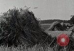 Standbild Farm Life Michigan United States USA, 1941, aus Sekunde 8 historischem Filmmaterial Videoclip 65675025824