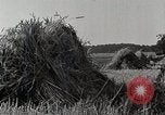 Standbild Farm Life Michigan United States USA, 1941, aus Sekunde 11 historischem Filmmaterial Videoclip 65675025824