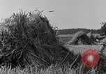 Standbild Farm Life Michigan United States USA, 1941, aus Sekunde 13 historischem Filmmaterial Videoclip 65675025824