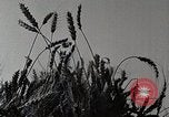 Standbild Farm Life Michigan United States USA, 1941, aus Sekunde 16 historischem Filmmaterial Videoclip 65675025824