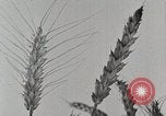 Standbild Farm Life Michigan United States USA, 1941, aus Sekunde 20 historischem Filmmaterial Videoclip 65675025824