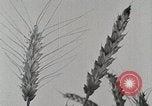 Standbild Farm Life Michigan United States USA, 1941, aus Sekunde 21 historischem Filmmaterial Videoclip 65675025824