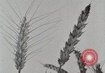 Standbild Farm Life Michigan United States USA, 1941, aus Sekunde 23 historischem Filmmaterial Videoclip 65675025824