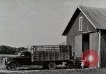 Image of farm life Michigan United States USA, 1941, second 5 stock footage video 65675025825