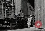 Image of farm life Michigan United States USA, 1941, second 7 stock footage video 65675025825