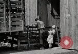 Image of farm life Michigan United States USA, 1941, second 8 stock footage video 65675025825
