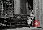 Image of farm life Michigan United States USA, 1941, second 13 stock footage video 65675025825