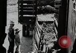 Image of farm life Michigan United States USA, 1941, second 14 stock footage video 65675025825