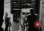 Image of farm life Michigan United States USA, 1941, second 17 stock footage video 65675025825
