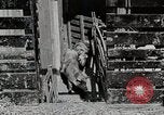 Image of farm life Michigan United States USA, 1941, second 30 stock footage video 65675025825