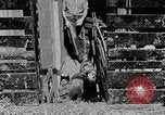 Image of farm life Michigan United States USA, 1941, second 32 stock footage video 65675025825