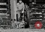Image of farm life Michigan United States USA, 1941, second 35 stock footage video 65675025825