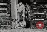 Image of farm life Michigan United States USA, 1941, second 36 stock footage video 65675025825