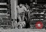 Image of farm life Michigan United States USA, 1941, second 37 stock footage video 65675025825