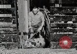 Image of farm life Michigan United States USA, 1941, second 39 stock footage video 65675025825
