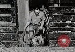 Image of farm life Michigan United States USA, 1941, second 40 stock footage video 65675025825