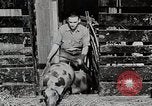 Image of farm life Michigan United States USA, 1941, second 41 stock footage video 65675025825