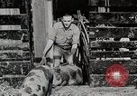 Image of farm life Michigan United States USA, 1941, second 42 stock footage video 65675025825