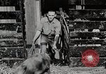 Image of farm life Michigan United States USA, 1941, second 43 stock footage video 65675025825