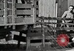 Image of farm life Michigan United States USA, 1941, second 48 stock footage video 65675025825