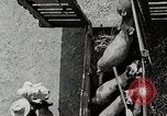 Image of farm life Michigan United States USA, 1941, second 50 stock footage video 65675025825
