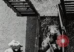Image of farm life Michigan United States USA, 1941, second 51 stock footage video 65675025825