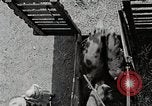 Image of farm life Michigan United States USA, 1941, second 52 stock footage video 65675025825