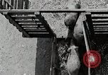 Image of farm life Michigan United States USA, 1941, second 53 stock footage video 65675025825